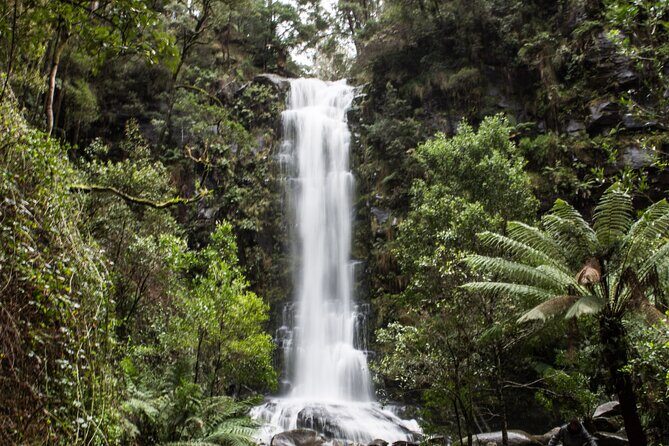 Private Great Ocean Road - The Ultimate Aussie Adventure - Exploring the Itinerary in Detail