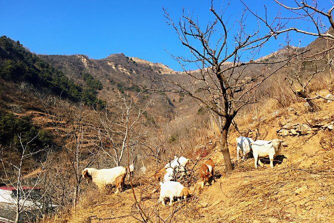 Private Great Wall Hiking Tour: Across The Border of 3 China Provinces - Potential Drawbacks or Considerations