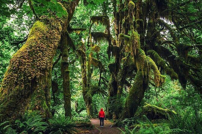 Private Greater Toronto DriveSpa Tour with Lunch - FAQs