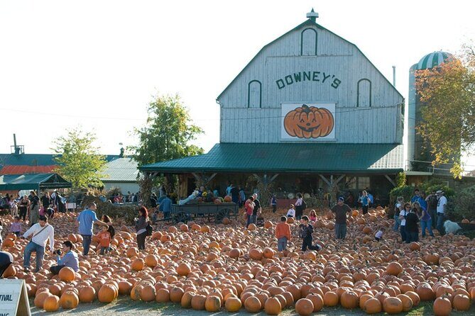 Private Greater Toronto DriveSpa Tour with Lunch - Final Thoughts