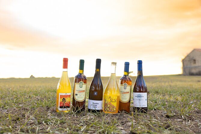 Private Greek Artisan Wine Tasting at Satyrs "The Cellar" - The Sum Up: Who Should Consider This Tour?