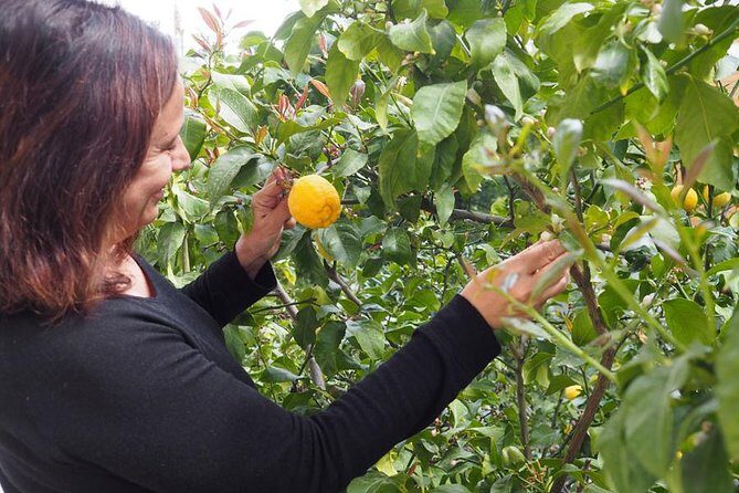 Private Greek Cooking Class in Athens-Learn to Cook with Angelina - Final Thoughts