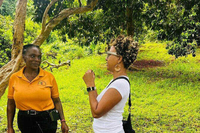 Private Grenada Island Tour Rum, Spice Garden & Grand Anse Beach - FAQs About This Tour