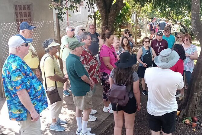 Private Grenada Spice Tour: Explore Lauras Herb & Spice Garden - Frequently Asked Questions