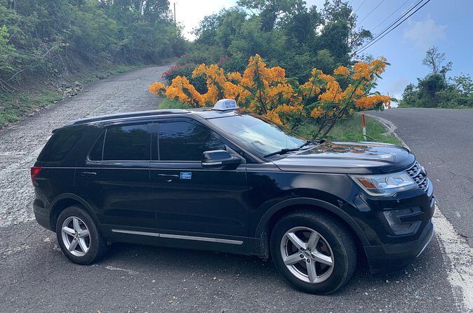 Private Ground Transfers - Final Thoughts: Is It Worth It?