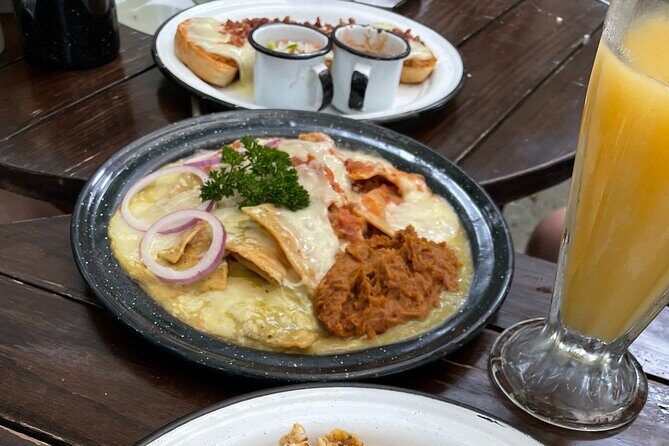 Private/Group Cola de Caballo Waterfall & Santiago (Premium SUV) - The Transportation and Guide Experience