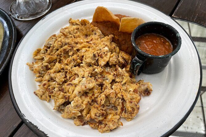 Private/Group Cola de Caballo Waterfall & Santiago (Premium SUV) - FAQs