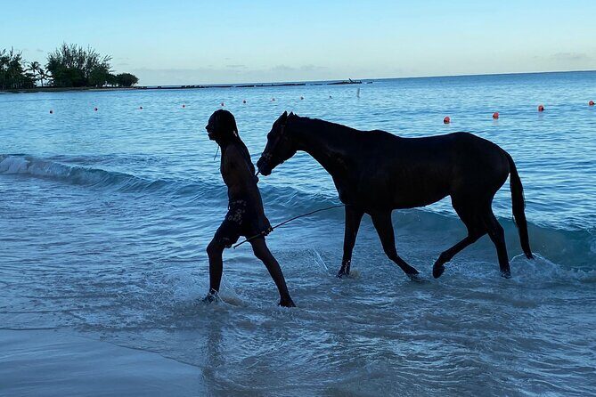 Private Group Hunte's Gardens Tour - The Sum Up