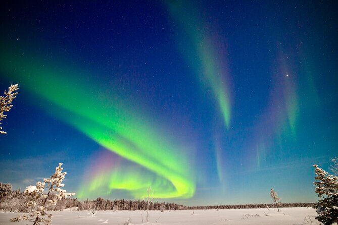 Private Group: Northern Lights Hunt 4x4 SUV with Aurora guarantee - Discover the Northern Lights Hunt in Levi, Finland