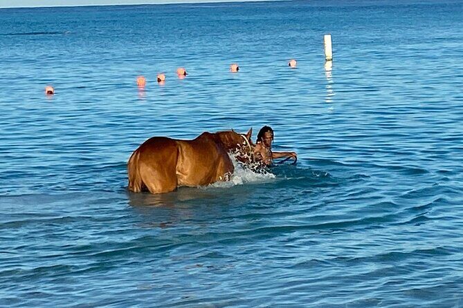 Private Group Scenic Tour in Barbados - Final Thoughts: Is It Worth It?