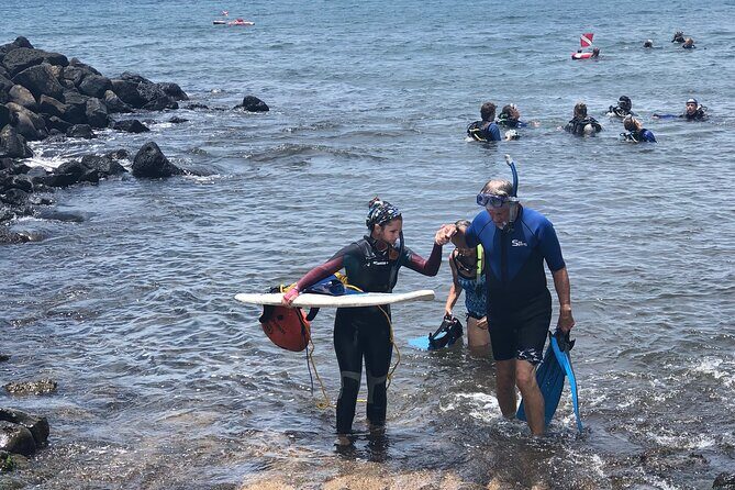 Private Group Snorkel Adventure on Tropical Reef with Sea Turtles - Detailed Breakdown of the Experience
