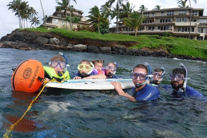 Private Group Snorkel Adventure on Tropical Reef with Sea Turtles - Practical Details and Tips for Booking