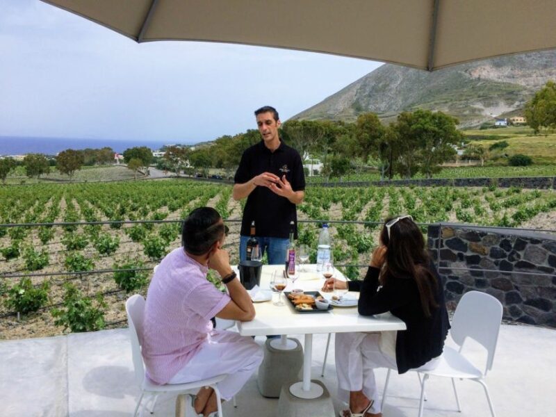 Private Group Visit to Akrotiri & 3 Wineries with Tastings - The Experience: What It Feels Like