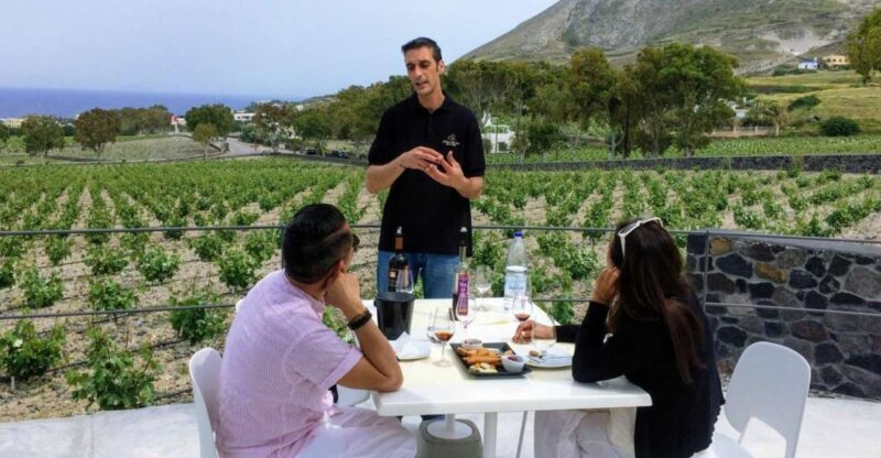 Private Group Visit to Akrotiri & 3 Wineries with Tastings - Who Is This Tour Best For?