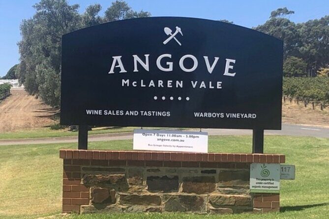 Private Group Wine Tasting in McLaren Vale - Who Should Consider This Tour?