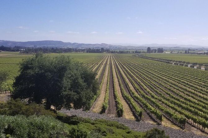 Private Group Wine Tour of Napa and Sonoma - Exploring the Full Itinerary