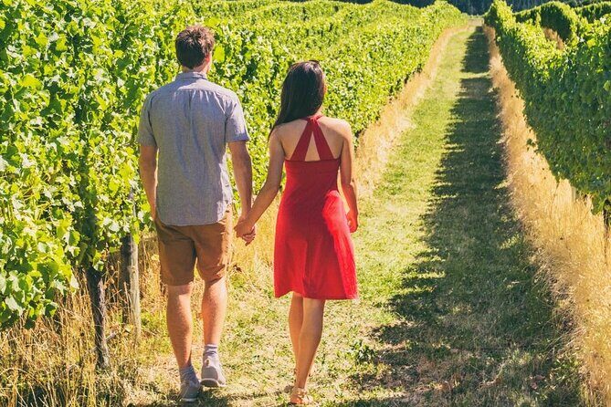 Private Group Wine Tours in Napa Valley - Exploring the Wineries: A Detailed Breakdown