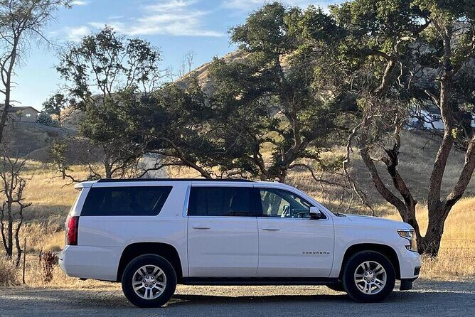 Private Group Wine Tours in Napa Valley - Who Will Love This Tour?