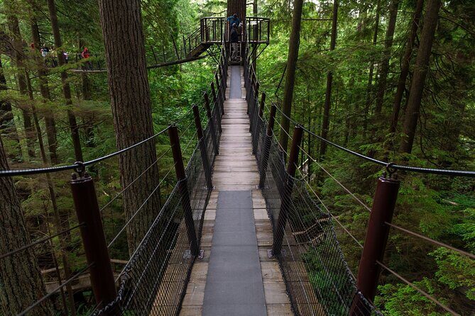 Private Grouse Mountain and Capilano Park Tour in Vancouver - Who Will Love This Tour?