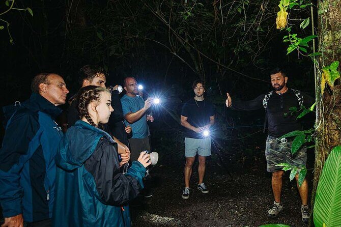 Private Guanacaste Night Tour - Key Points