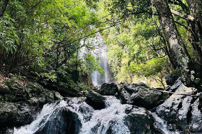 Private Guided Adventure in Nadi with Pick-up - A Private Guided Adventure in Nadi with Pick-up: What to Expect