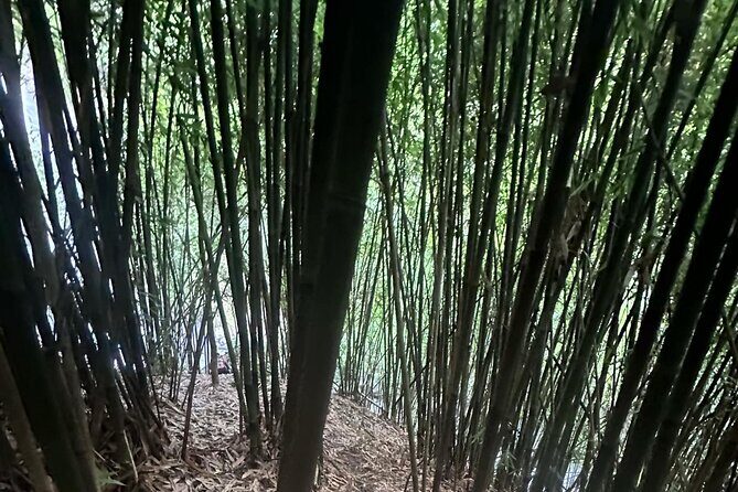 Private Guided Adventure in Nadi with Pick-up - Final Thoughts: Is This Tour Right for You?