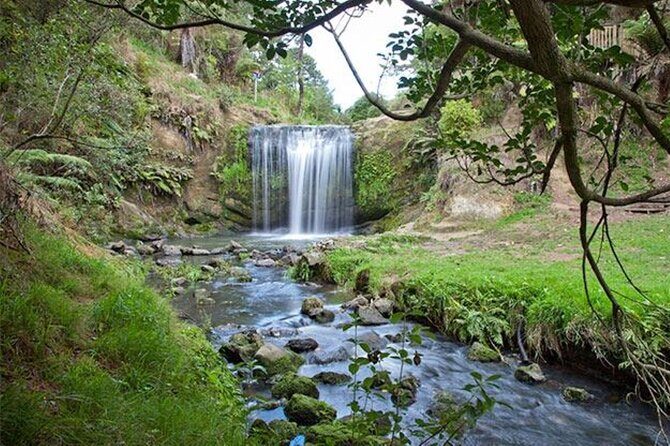 Private Guided Auckland Waterfalls Tour - Key Points