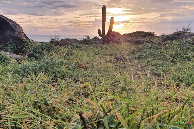 Private Guided Beach Meditation & Hike + Transfer - A Closer Look at the Aruba Sunrise Hike & Beach Meditation
