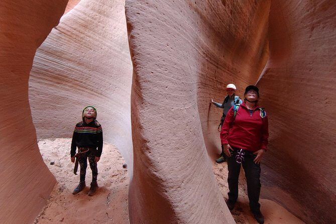 Private Guided Canyoneering Zion Park Area with Rappelling - Why We Think This Tour Offers Real Value