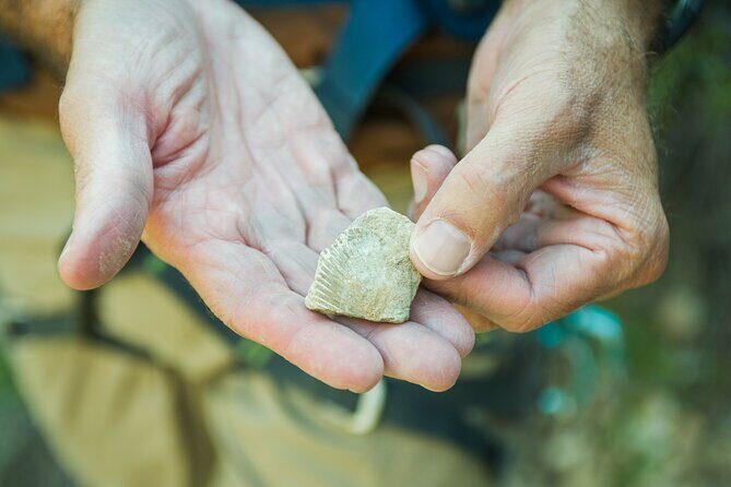 Private Guided Canyoneering Zion Park Area with Rappelling - Final Words