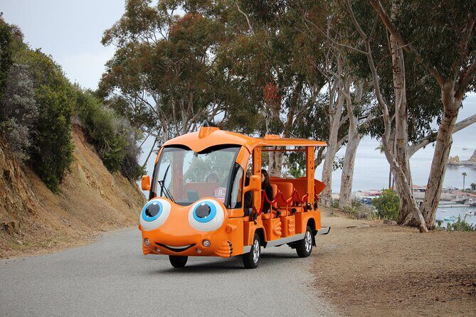 Private Guided City Tour up to 12 Passengers - Exploring Avalon in Style: The Private Guided City Tour up to 12 Passengers