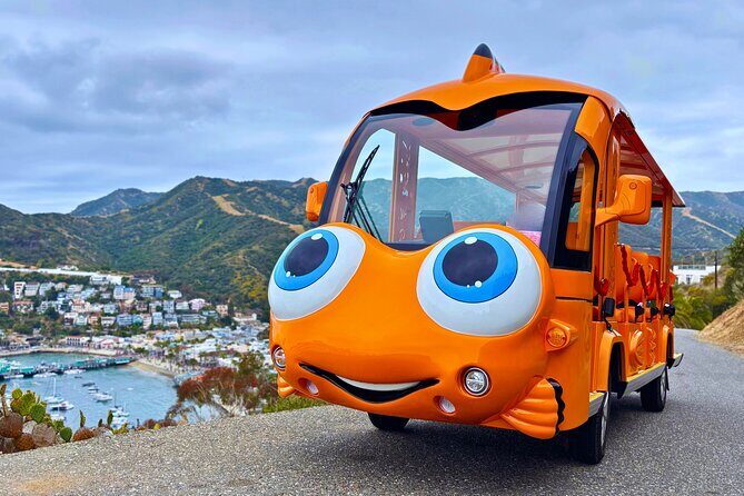 Private Guided City Tour up to 12 Passengers - A Closer Look at the Avalon Guided City Tour