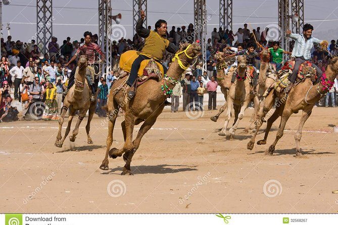 Private Guided Cultural Day Tour of Jaipur - FAQ