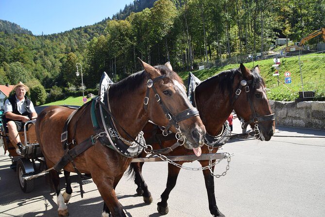 Private Guided Day Trip to Castle Neuschwanstein incl. Carriage Horse Ride - Final Thoughts