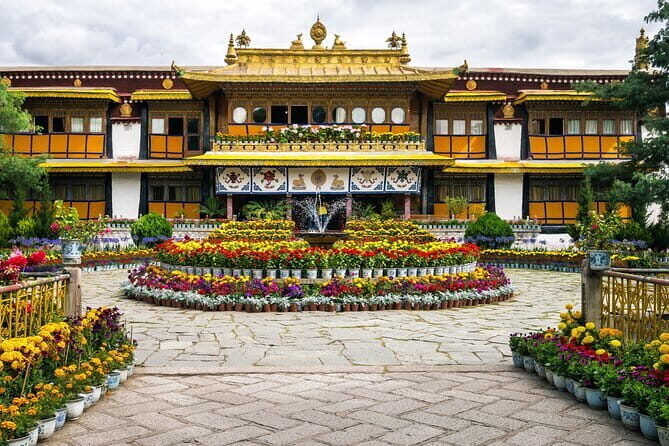 Private Guided Dharamshala Tour with Scenic Views & Lunch - Starting Point and Transportation