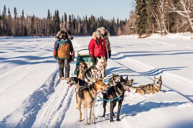 Private Guided Dog Sledding on the Historic Yukon Quest Trail - Frequently Asked Questions