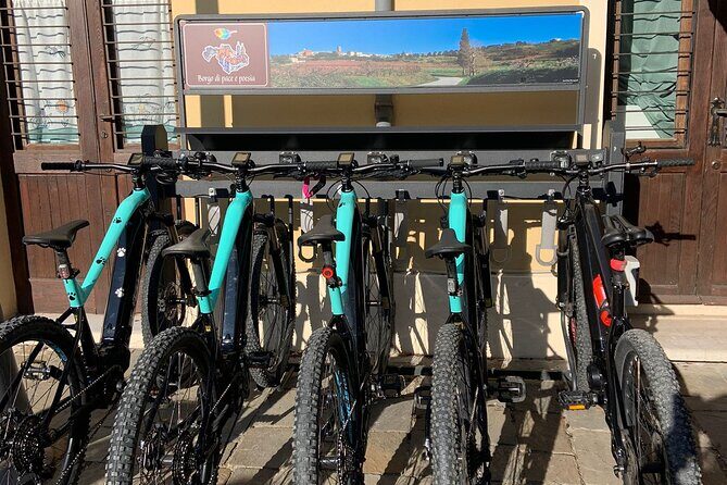 Private Guided E-bike Tour in Bertinoro - The Sum Up