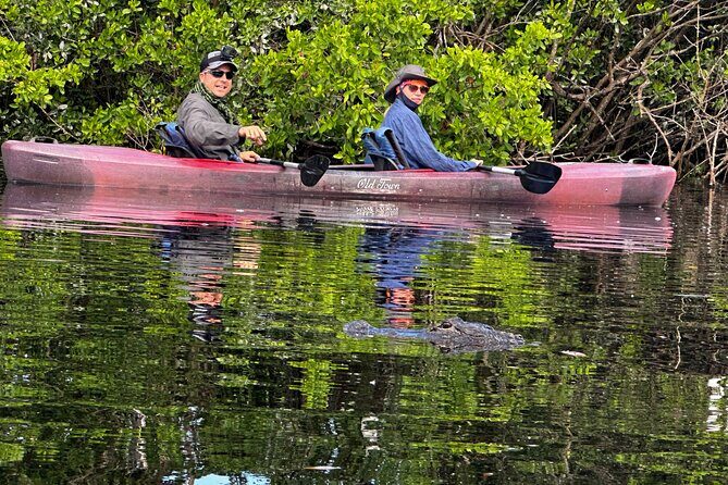 Private Guided Everglades Kayak Tour - A Deep Dive into the Private Everglades Kayak Tour