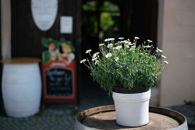 Private Guided Full Day Tour to charming Burgenland region with Wine tasting - FAQ
