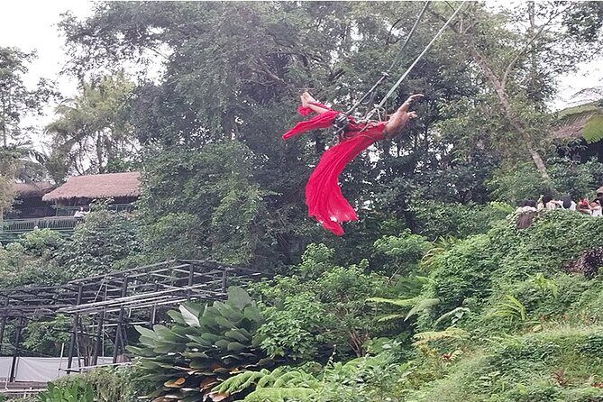 Private Guided Full Day Ubud Tour - The Logistics and What They Mean for You