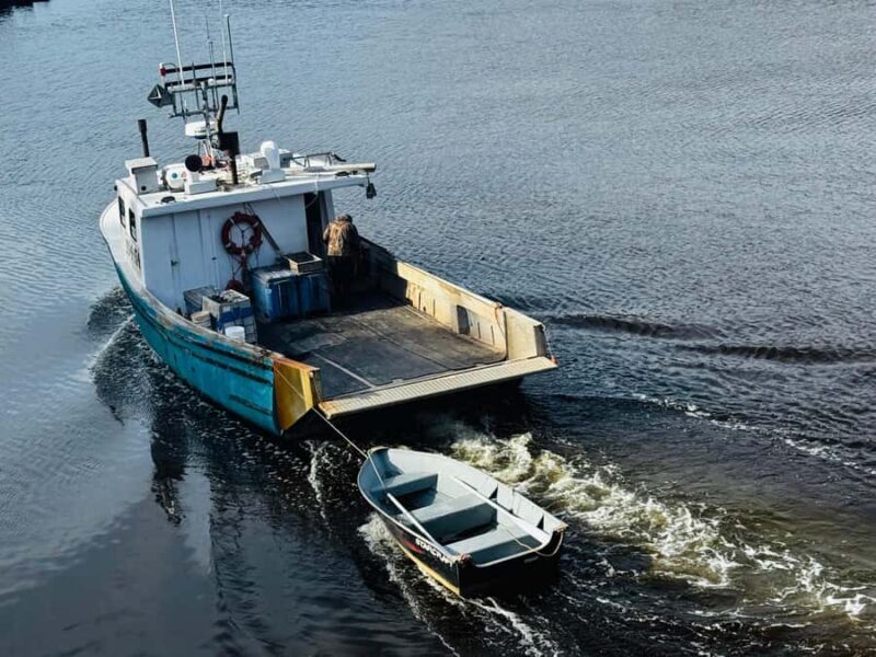Private Guided Fundy Tour in Saint John - Key Points