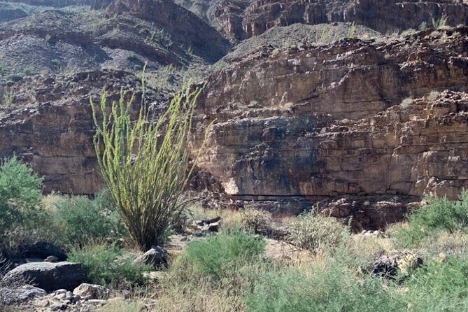 Private Guided Grand Canyon Tour in Arizona - A Deep Dive into the Grand Canyon Private Tour