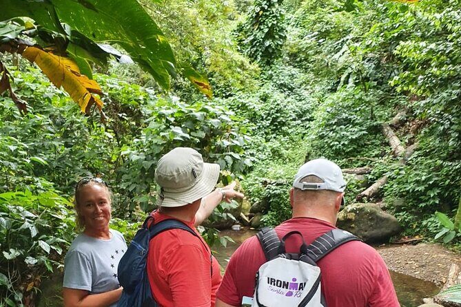 Private Guided Grenada Island Tour "BY THE HOUR" - FAQ: Your Practical Questions Answered