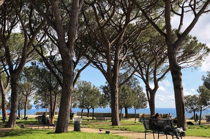 Private Guided Half Day Panoramic Tour in Naples - The Sum Up