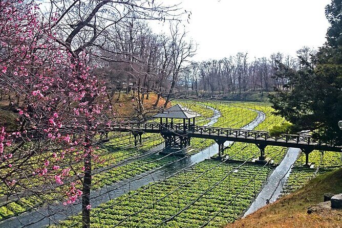 Private Guided Half Day Tour Visit in Nagano - The Practical Side: What to Expect