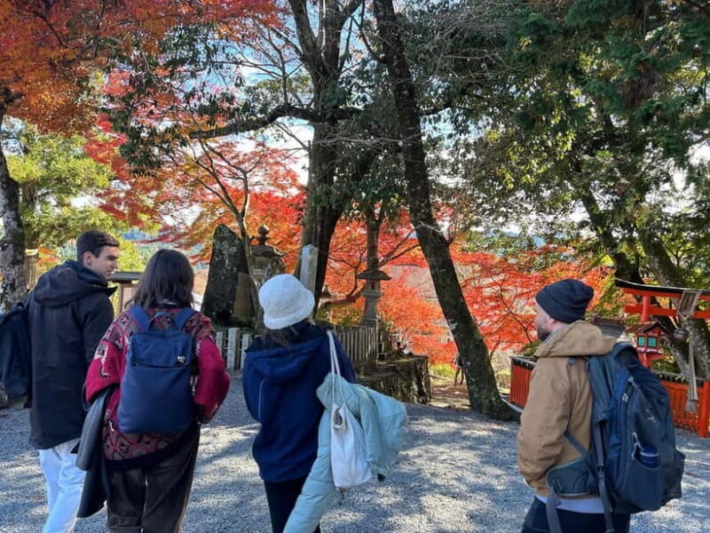 Private Guided Half-Day Walking Tour in Yoshinoyama - Key Points