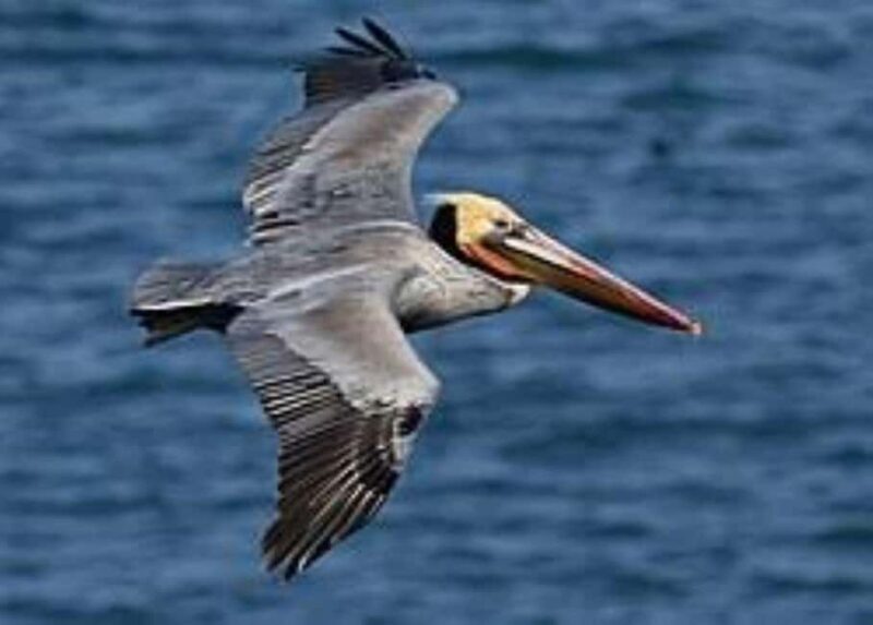 Private: Guided Hike and Kayak Adventure from Boca Chica - Exploring Los Haitises National Park: A Guided Hike and Kayak Adventure from Boca Chica