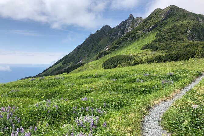 Private Guided Hike in Sitka, Alaska - Exploring Sitka’s Wilderness: Private Guided Hike in Alaska