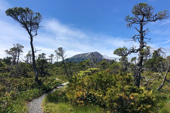 Private Guided Hike in Sitka, Alaska - Key Points