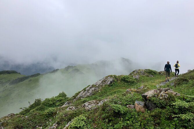 Private Guided Hike in Sitka, Alaska - The Sum Up